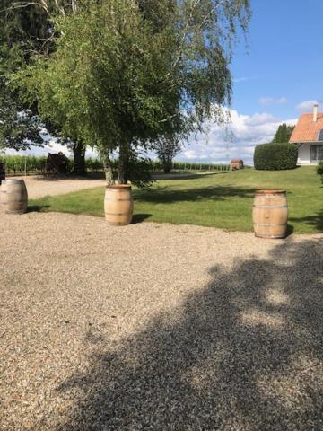 Gite Les Pins Perdus Saint-Ciers-d'Abzac Zewnętrze zdjęcie