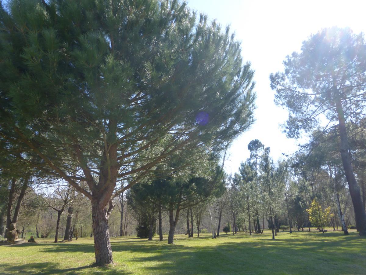 Gite Les Pins Perdus Saint-Ciers-d'Abzac Zewnętrze zdjęcie